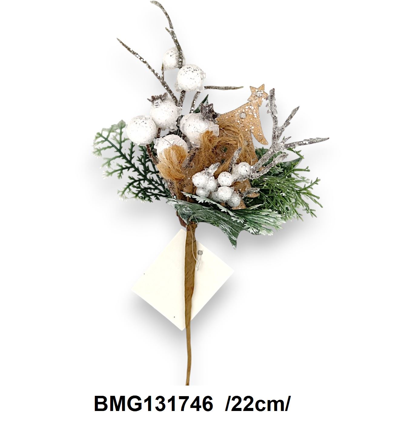 BMG131746