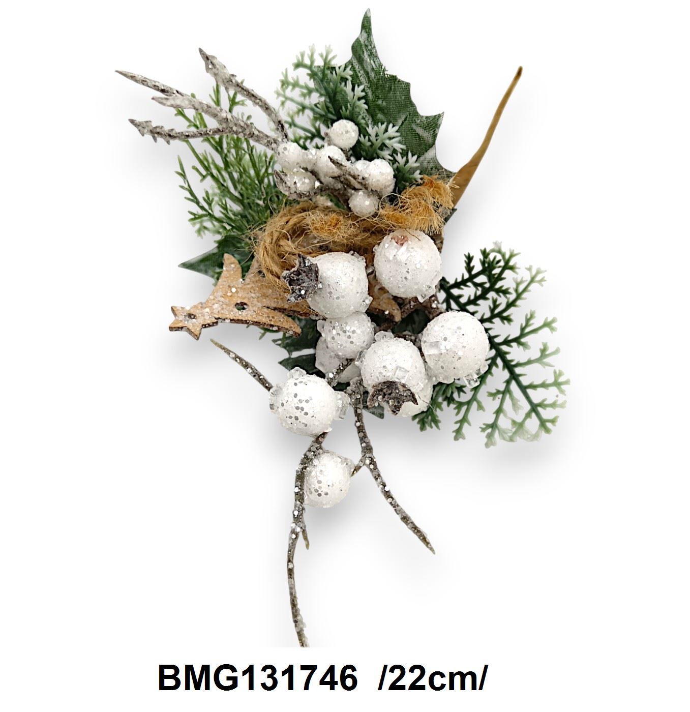 BMG131746
