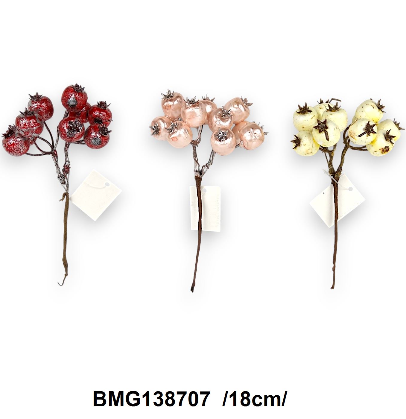 BMG138707