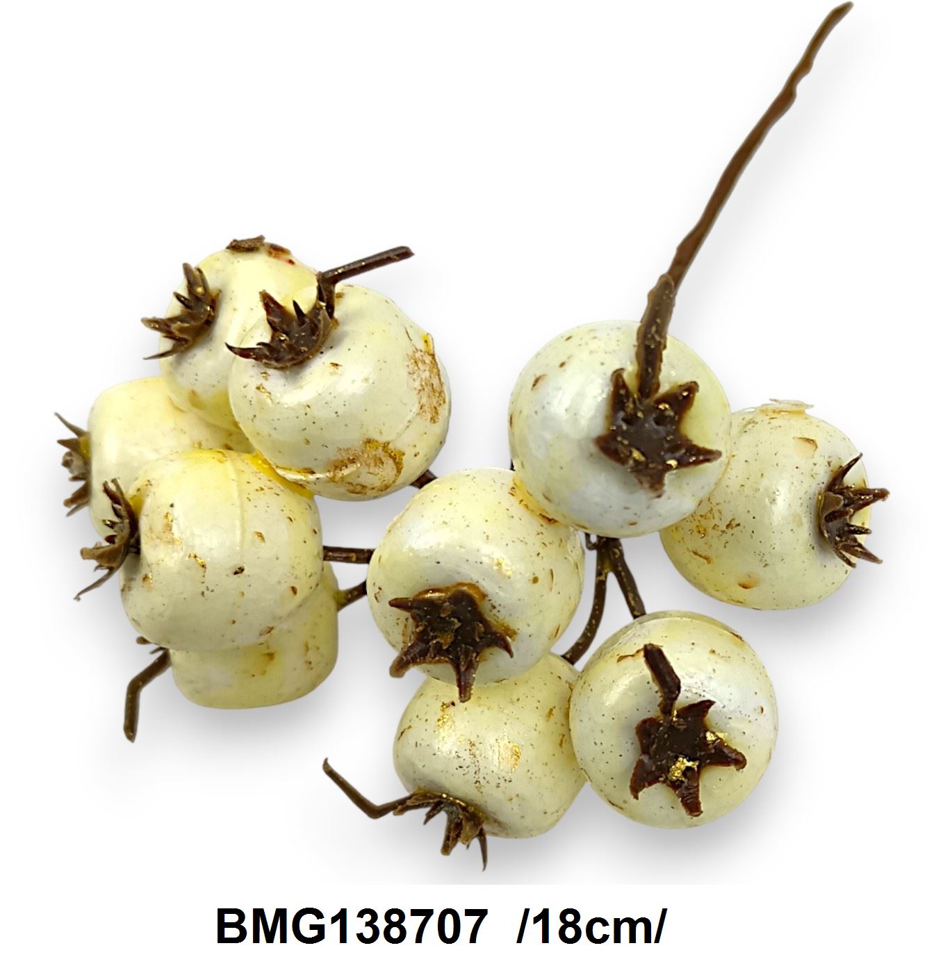 BMG138707