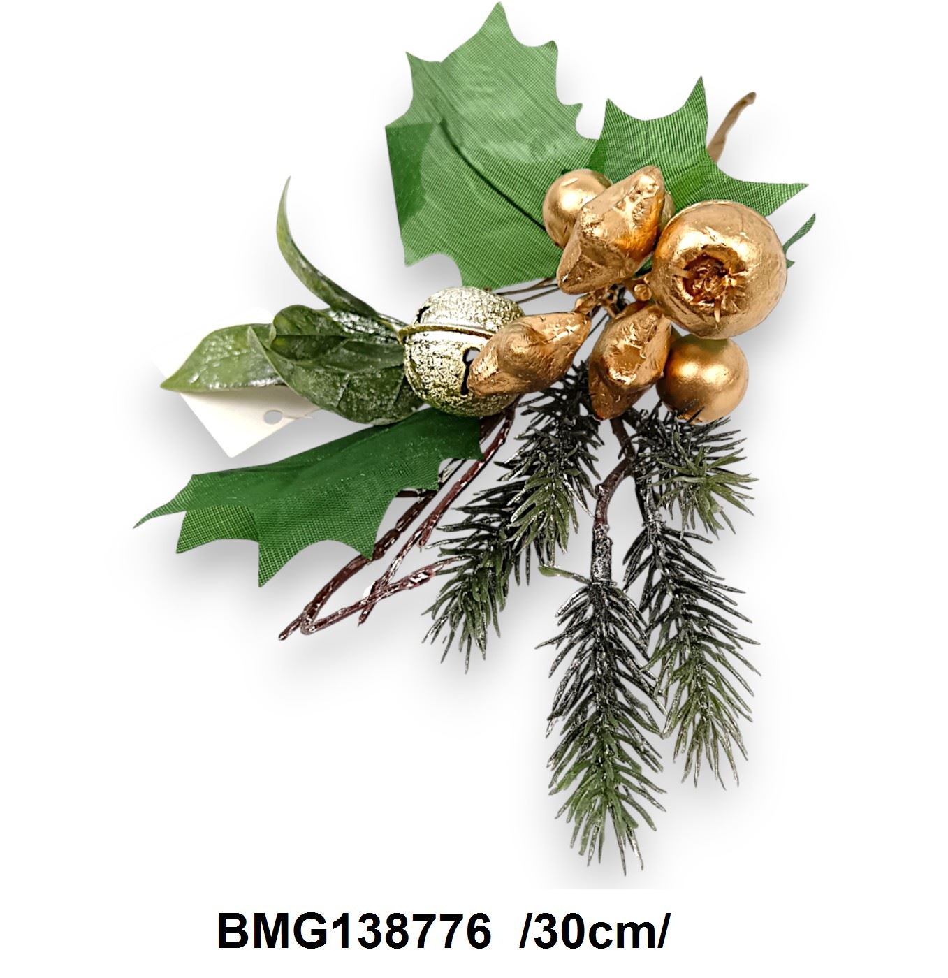 BMG138776