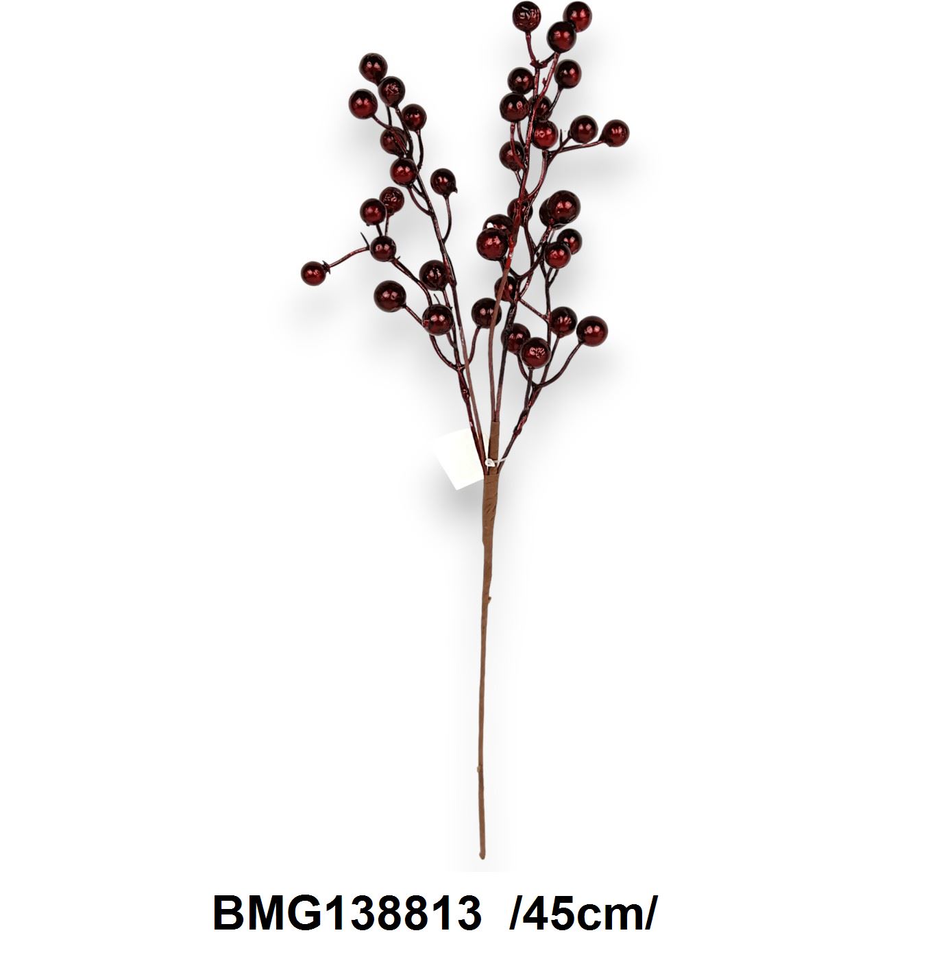 BMG138813