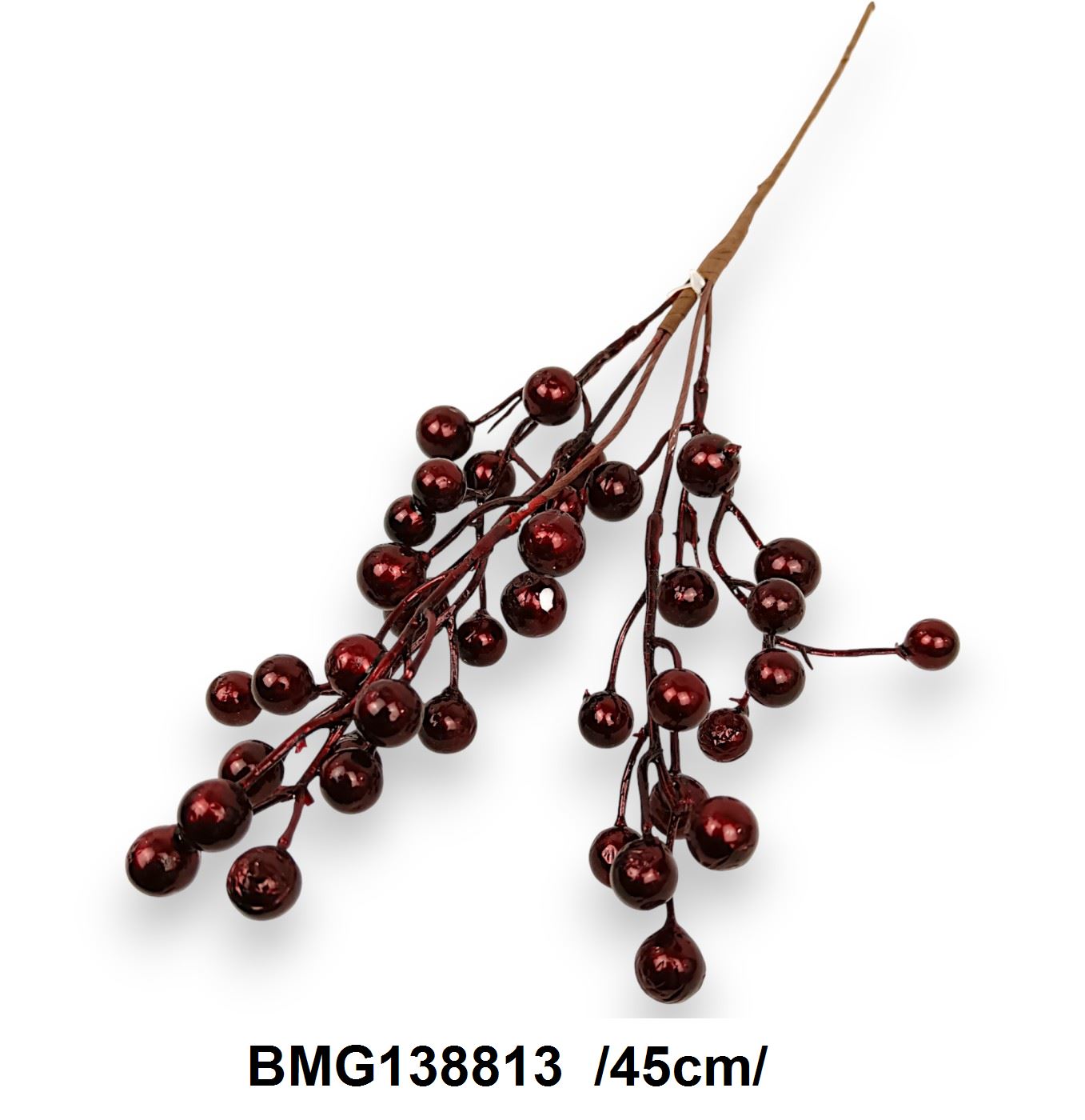 BMG138813