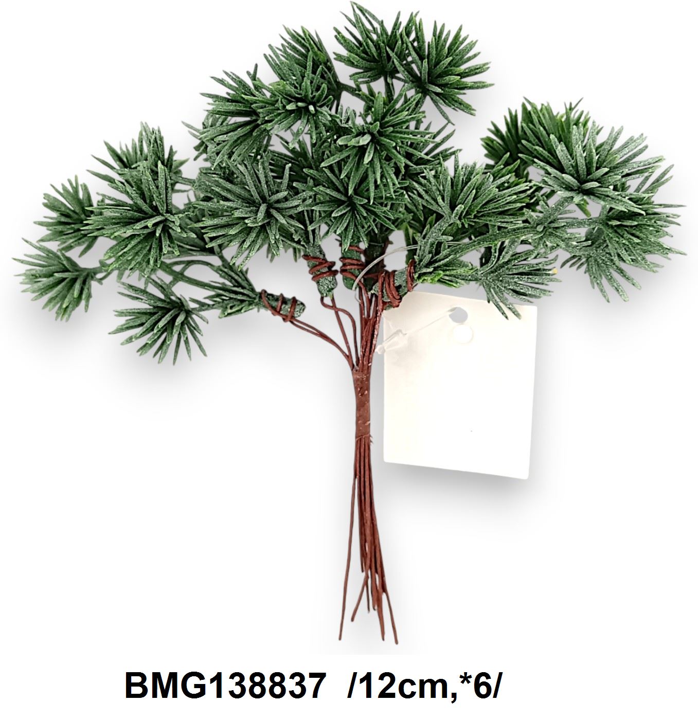 BMG138837
