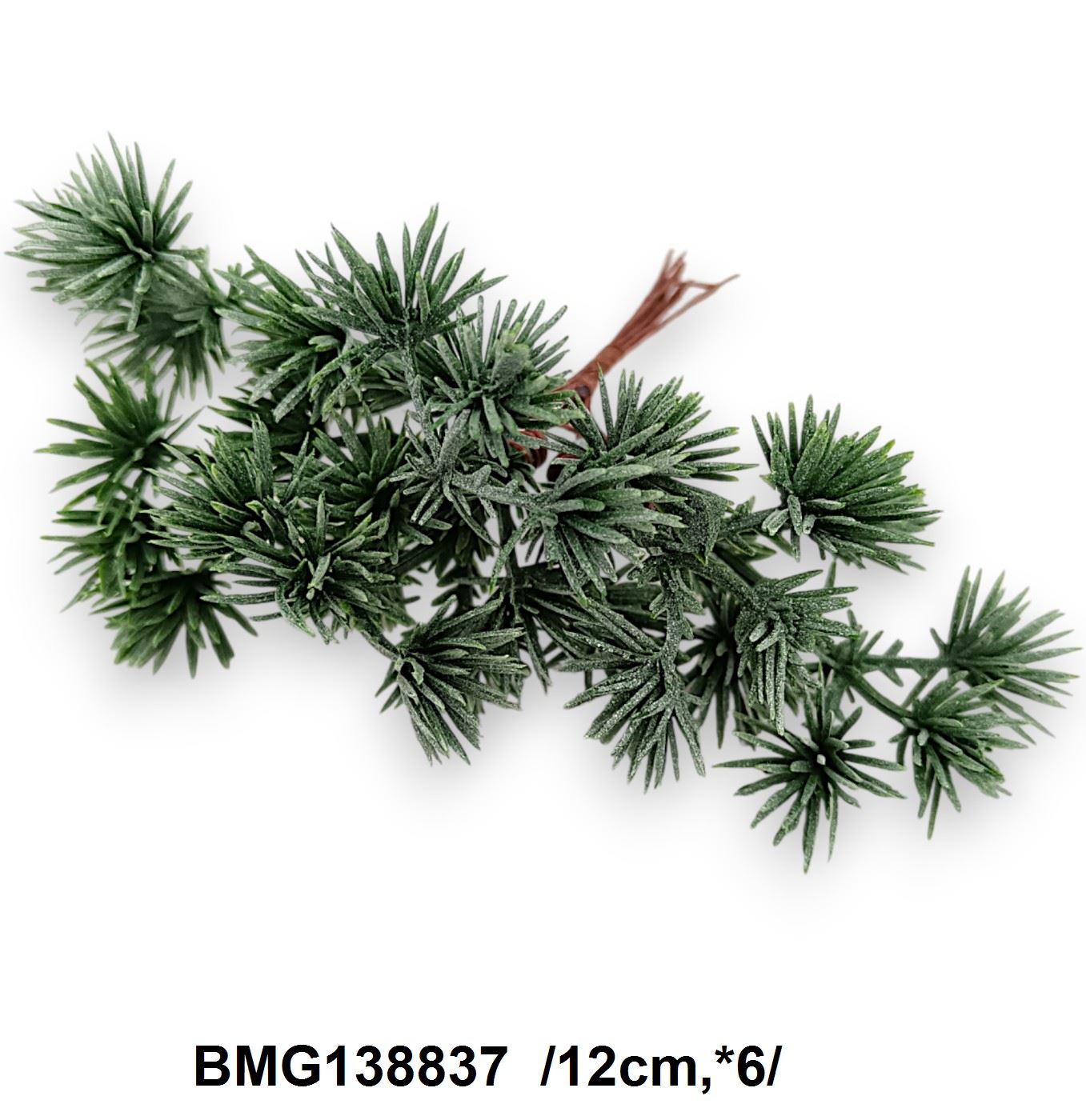 BMG138837