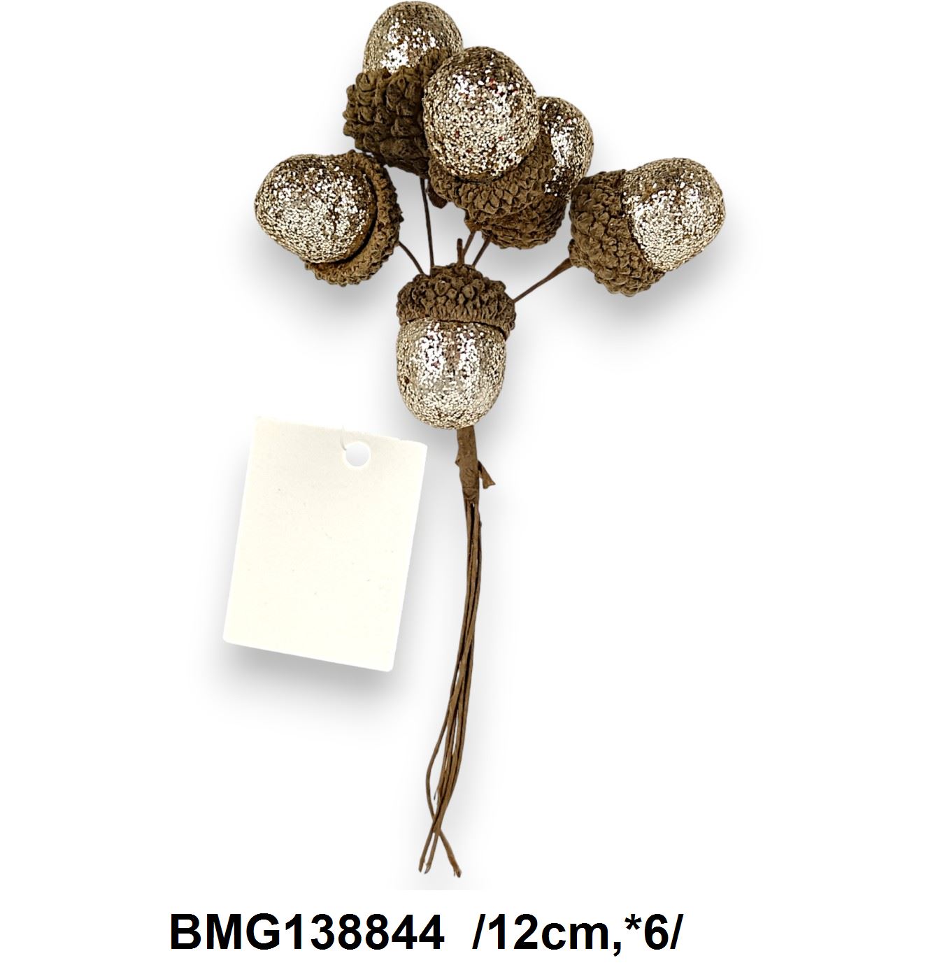 BMG138844