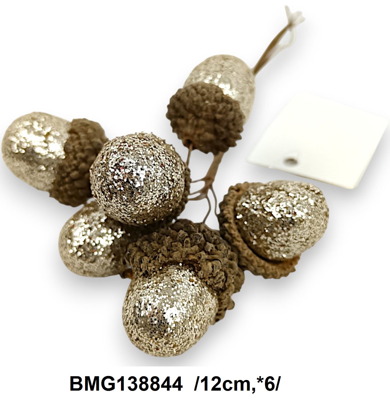 BMG138844