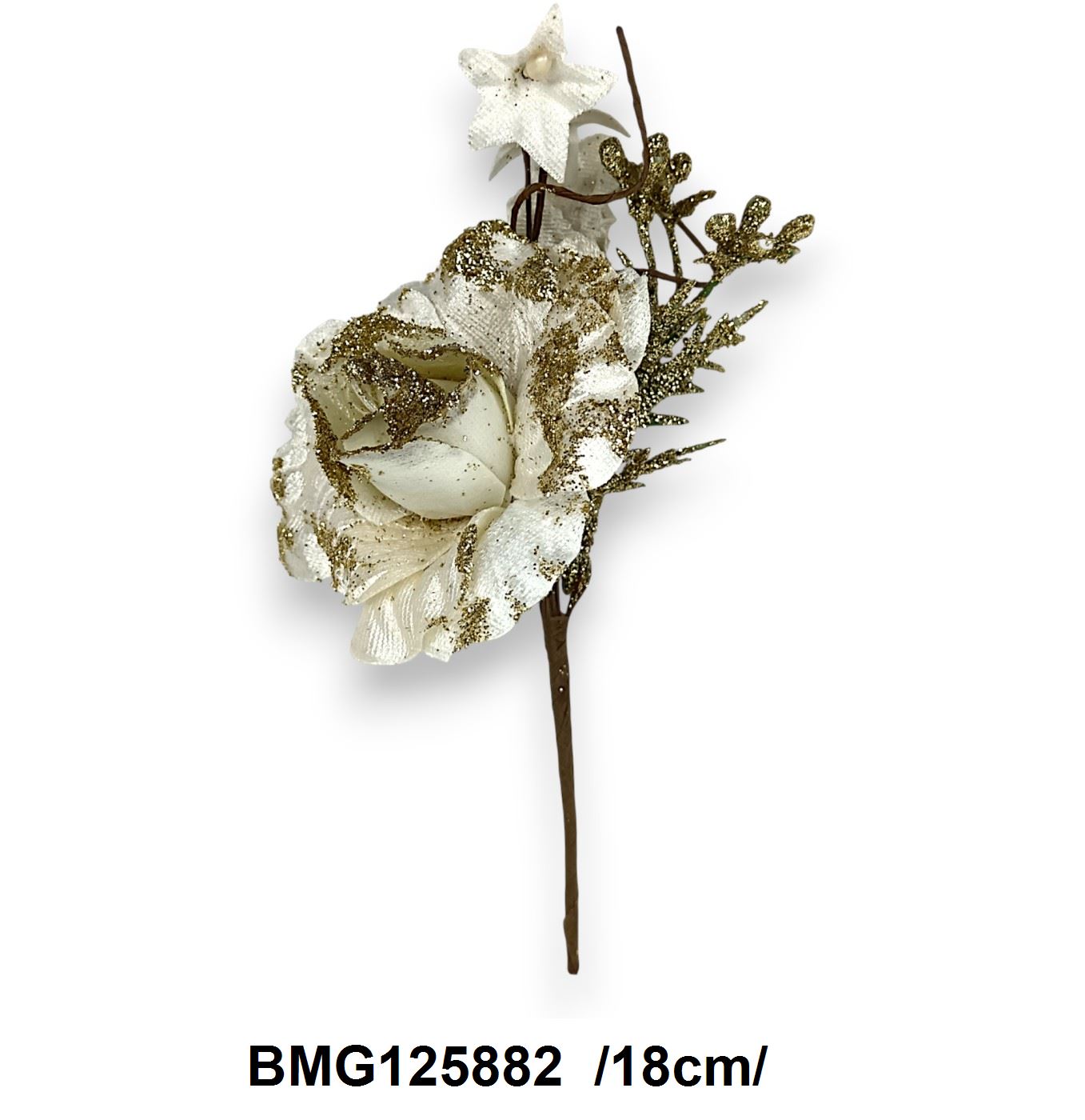 BMG125882