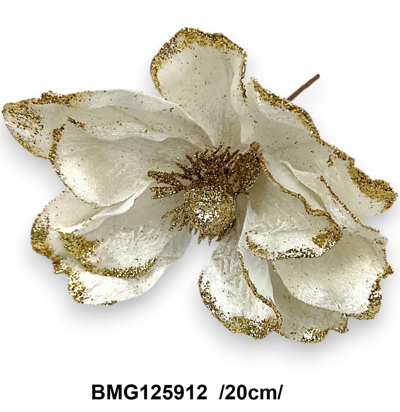 BMG125912