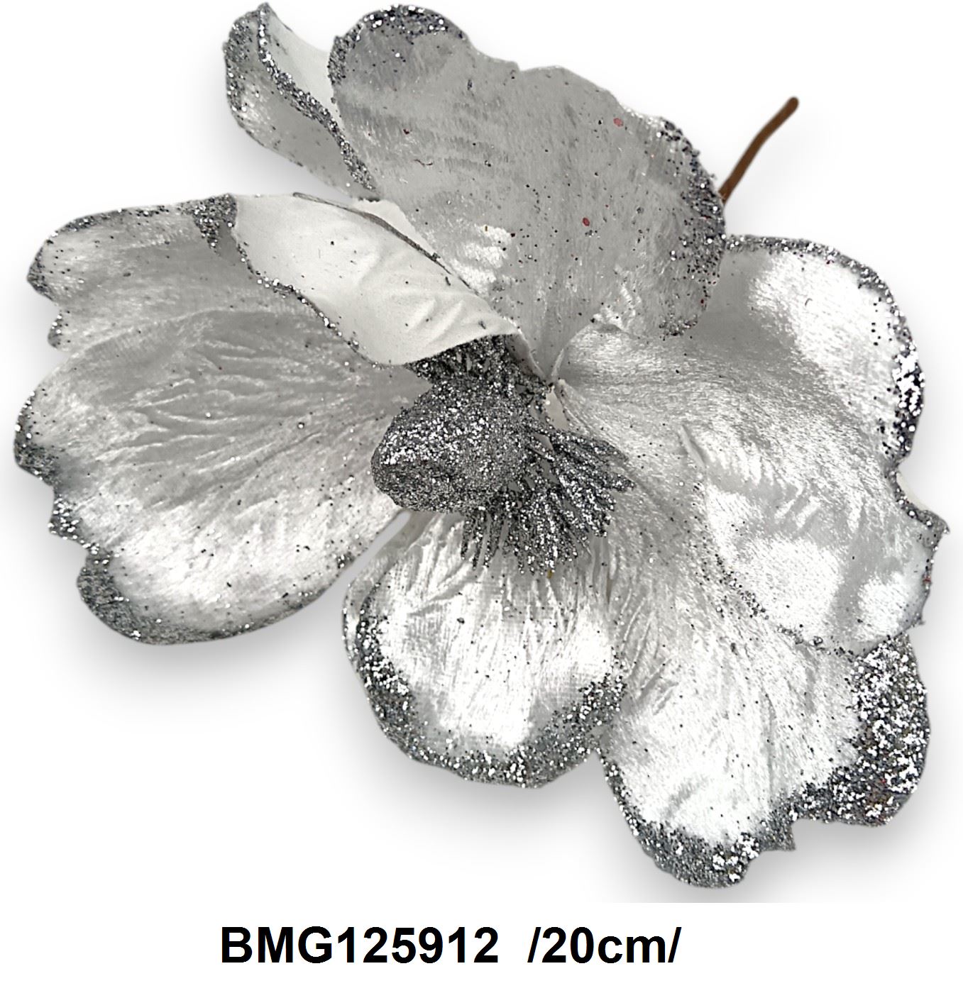 BMG125912