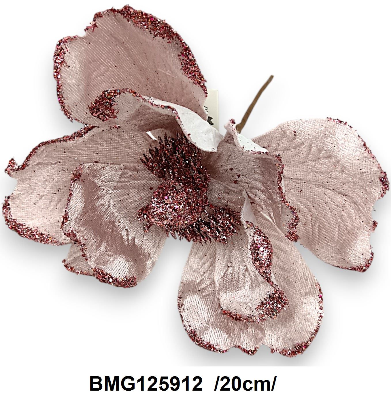 BMG125912