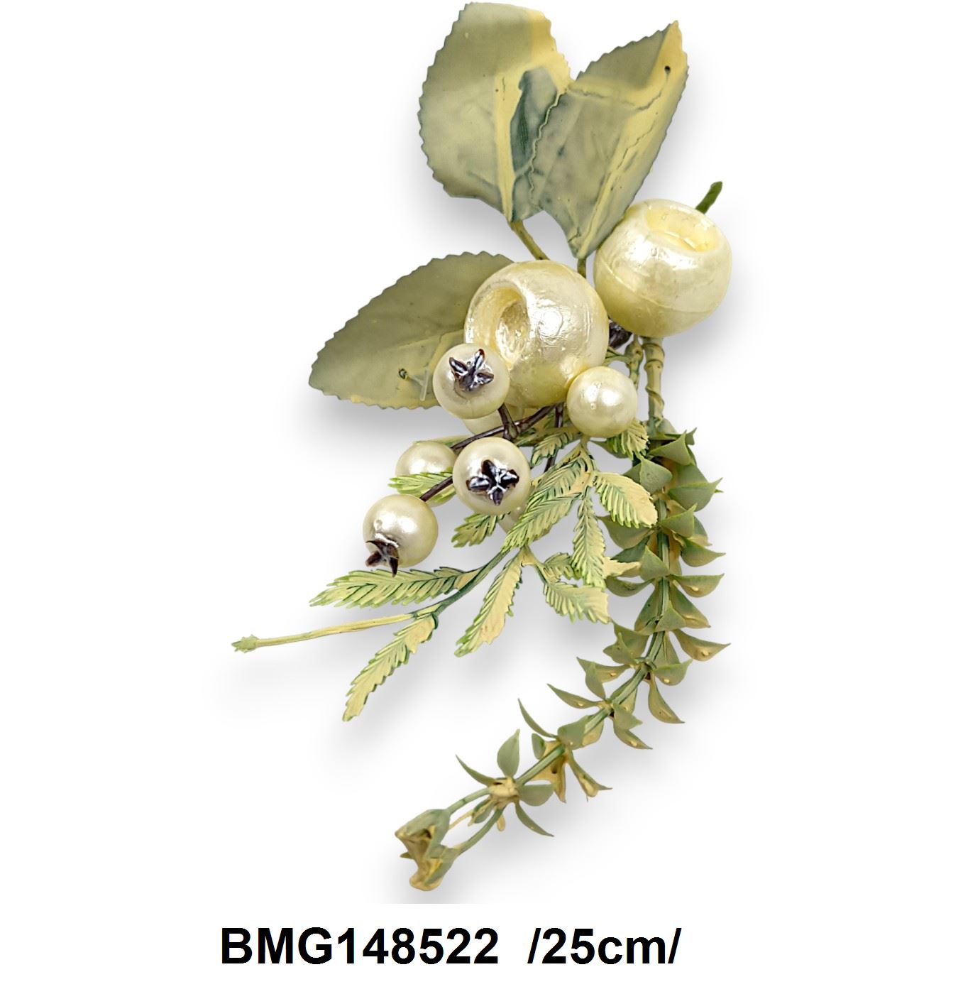 BMG148522