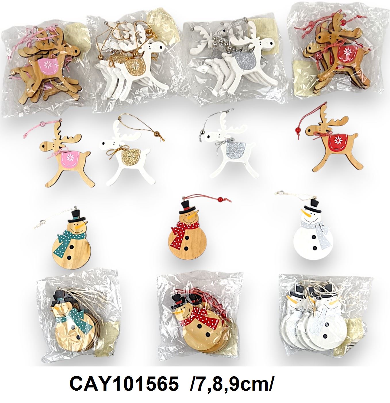 CAY101565