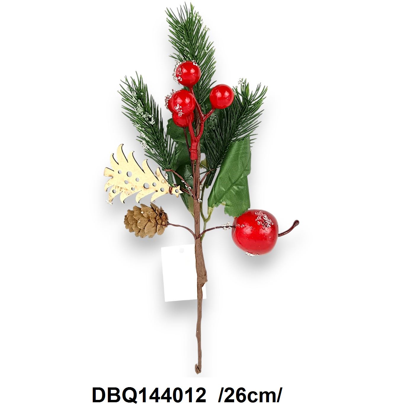 DBQ144012