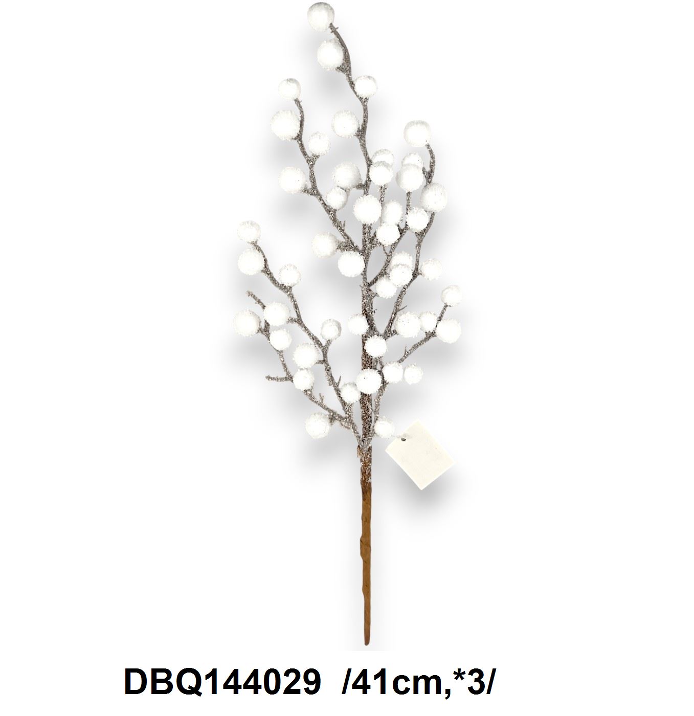 DBQ144029