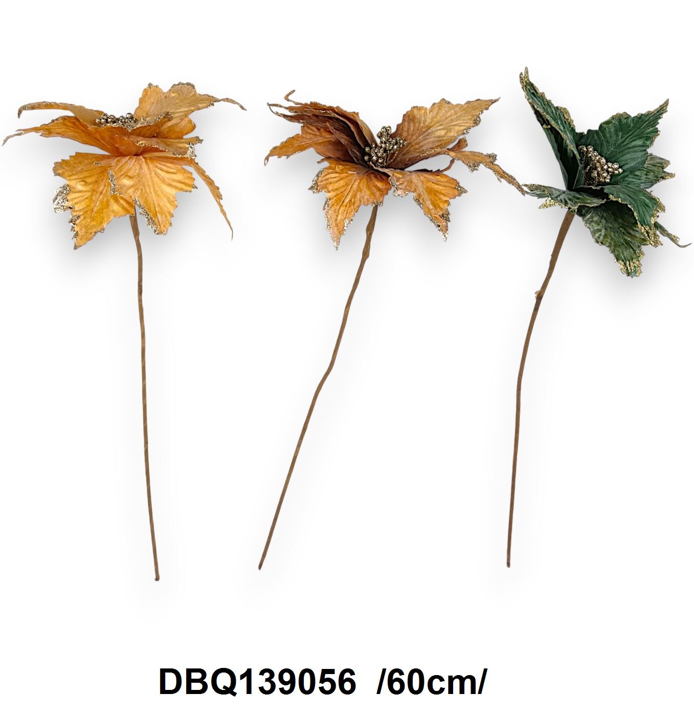 DBQ139056
