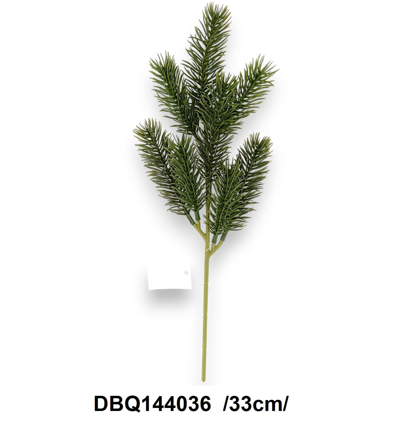 DBQ144036