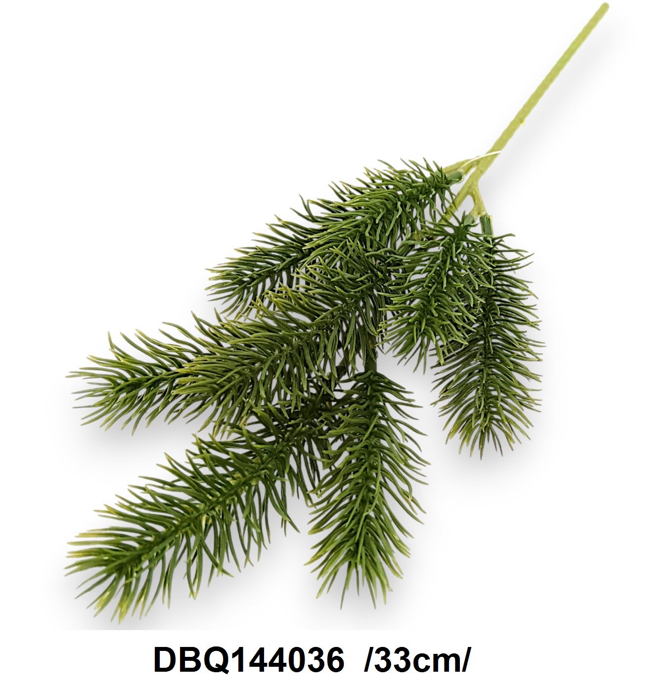 DBQ144036