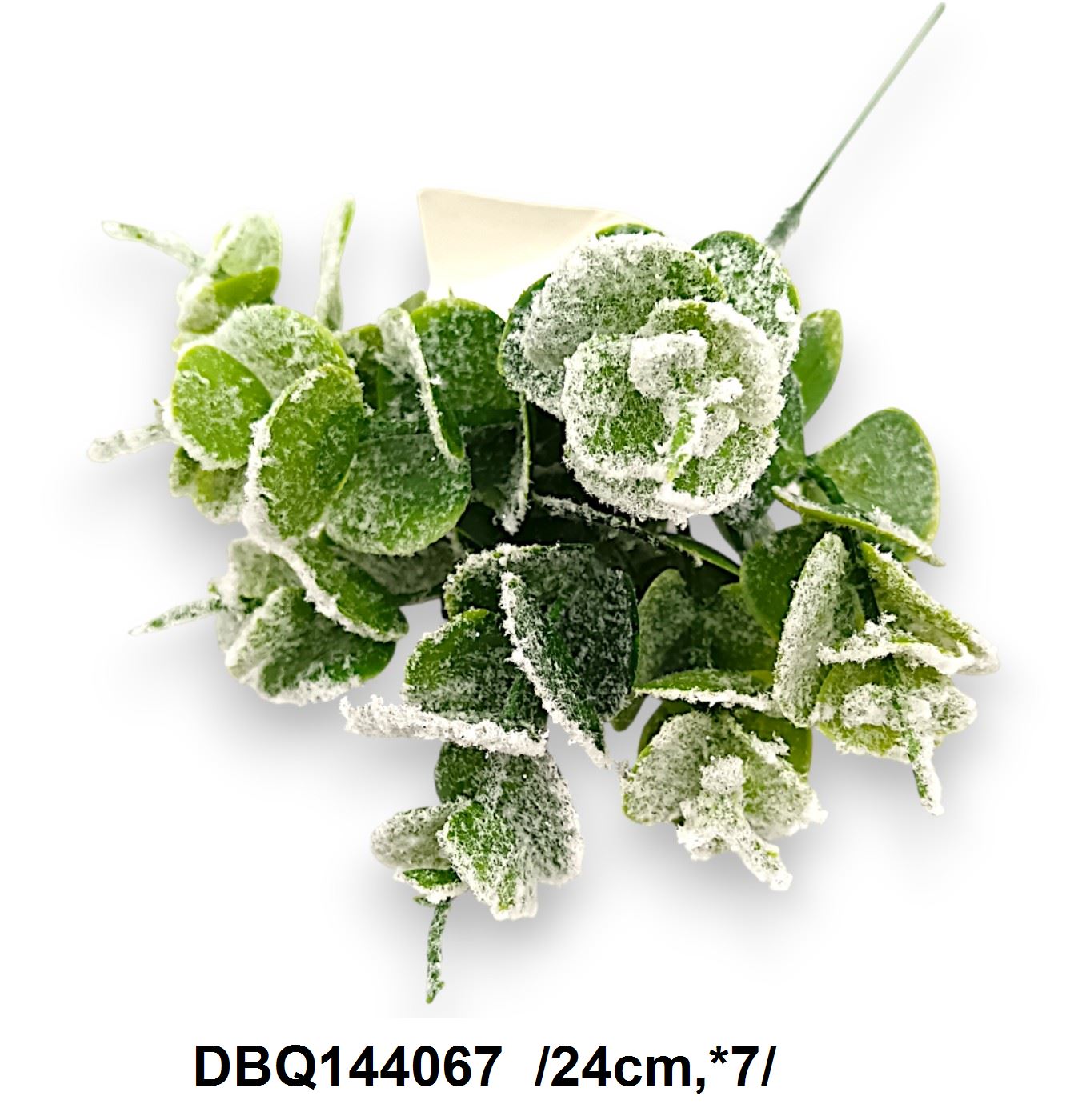 DBQ144067