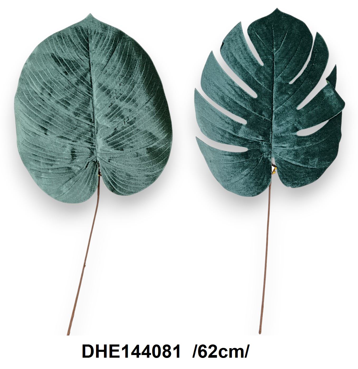 DHE144081