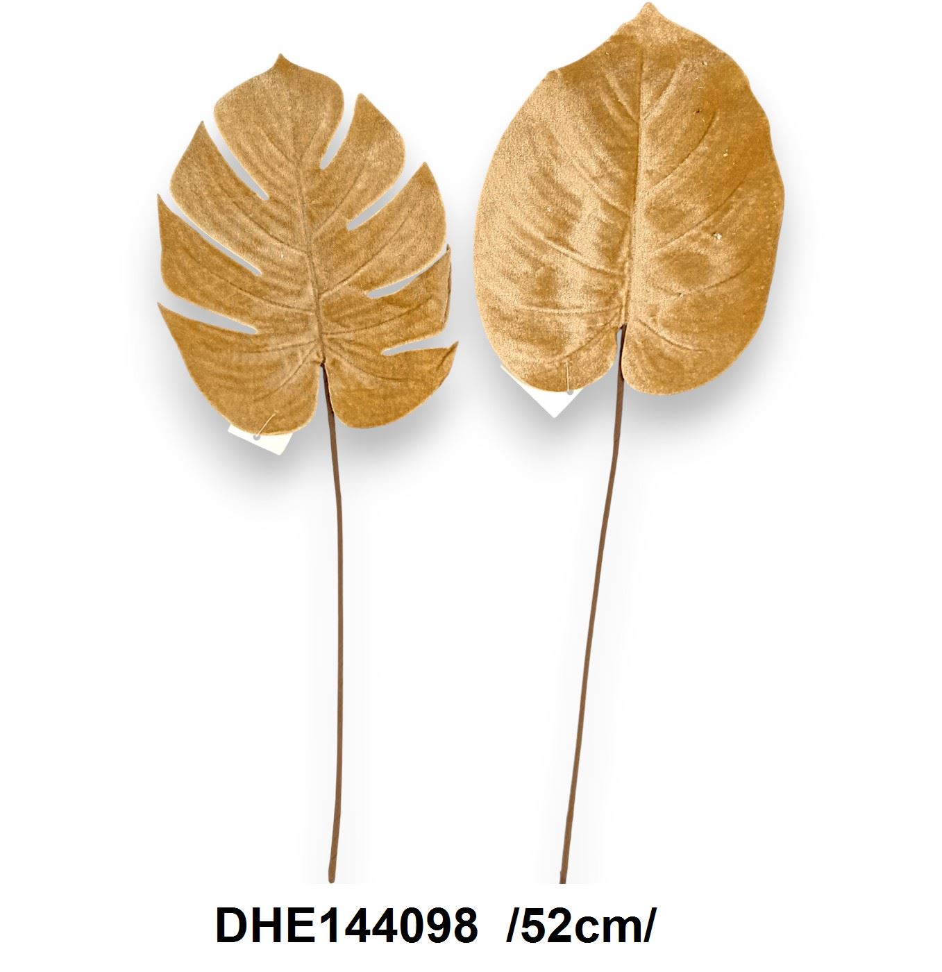 DHE144098