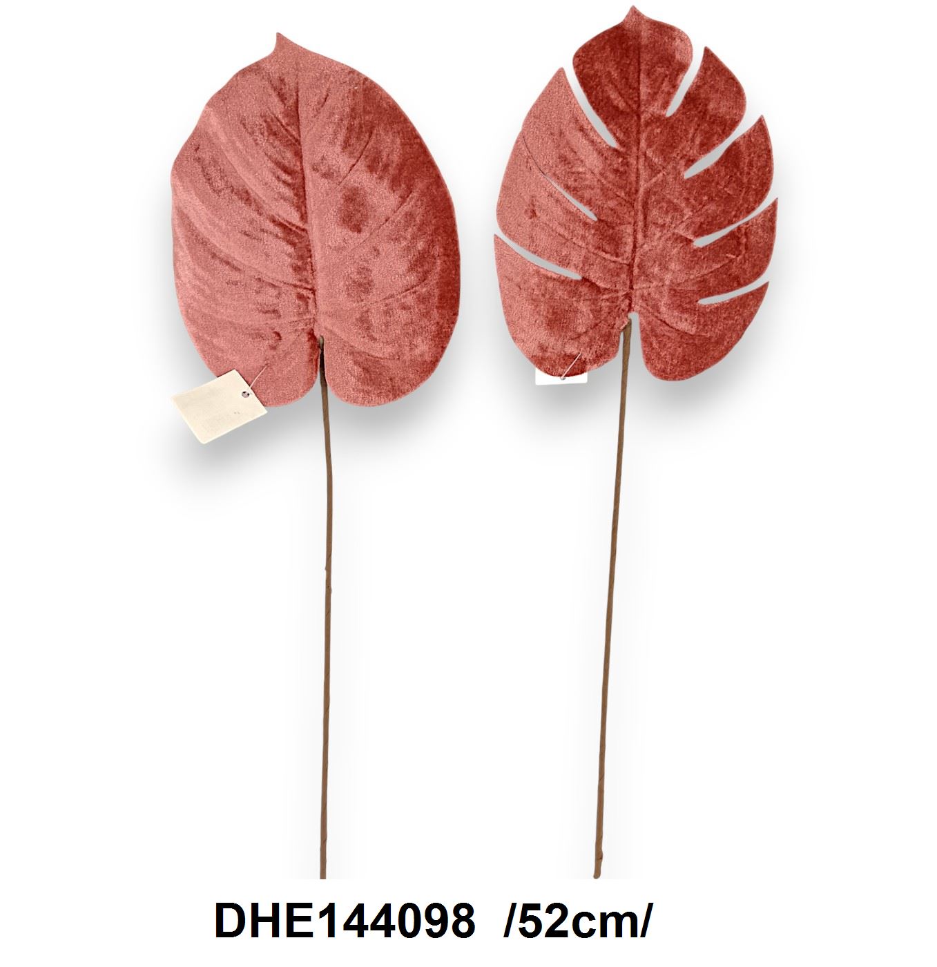 DHE144098