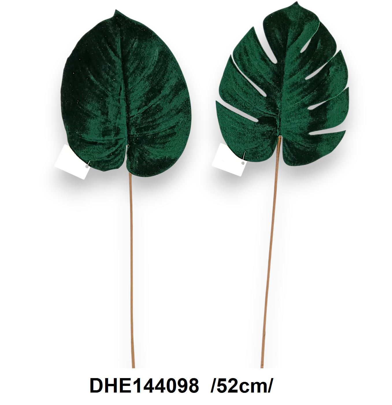 DHE144098