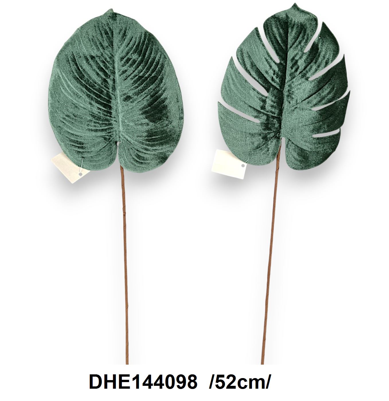DHE144098