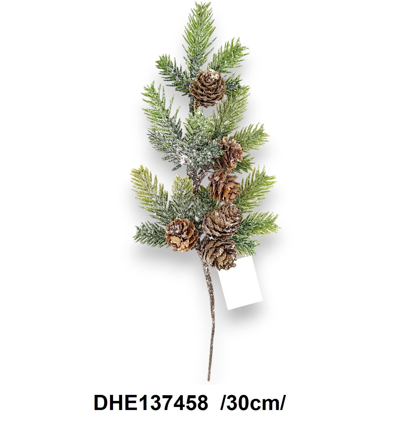 DHE137458