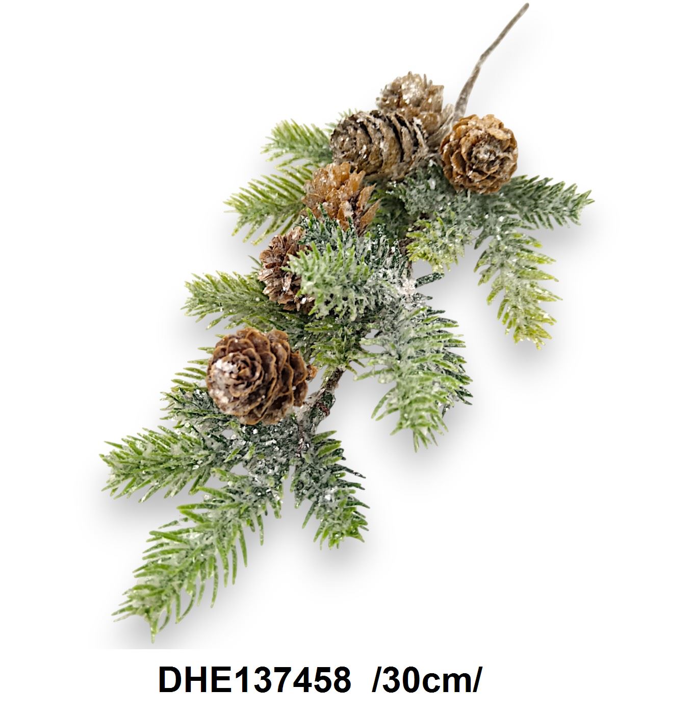 DHE137458