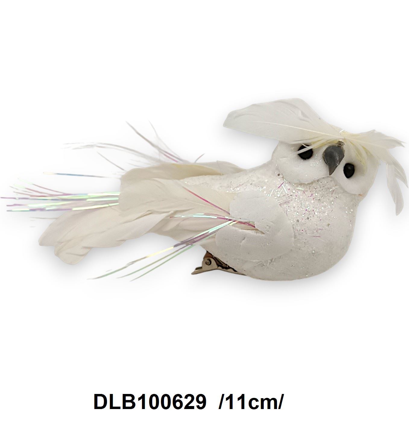 DLB100629