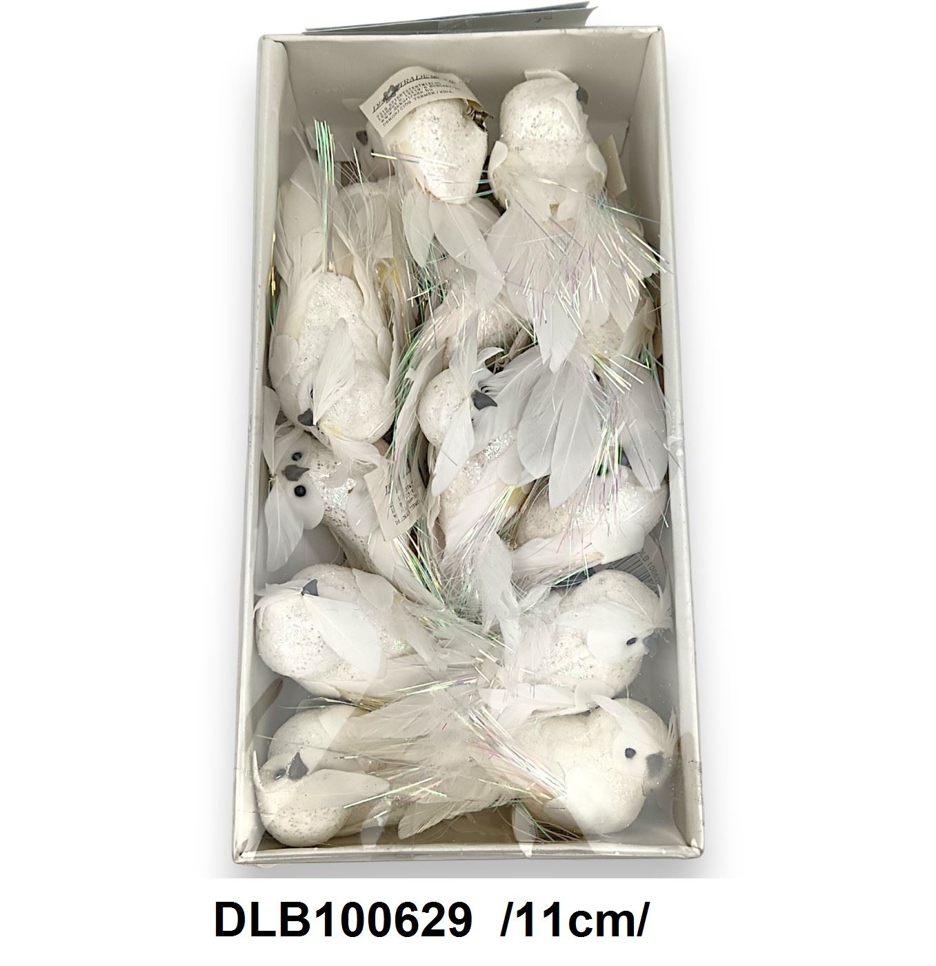 DLB100629