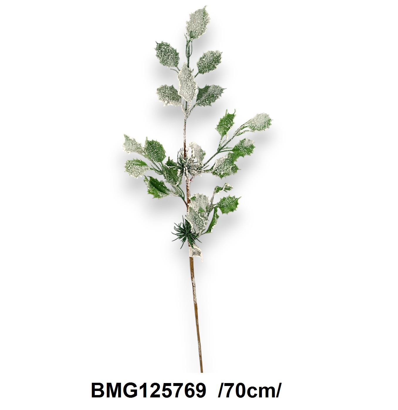 BMG125769