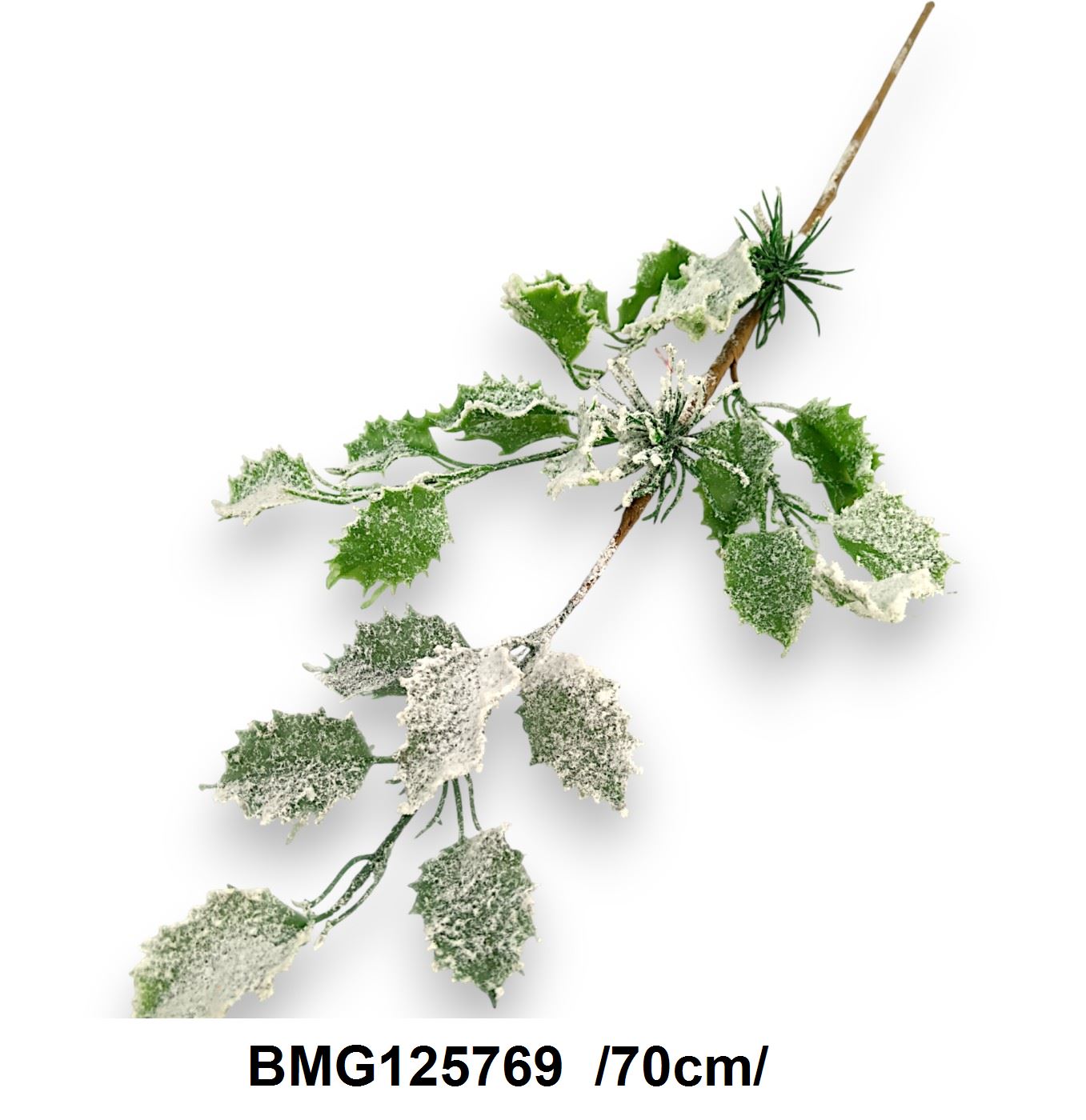 BMG125769