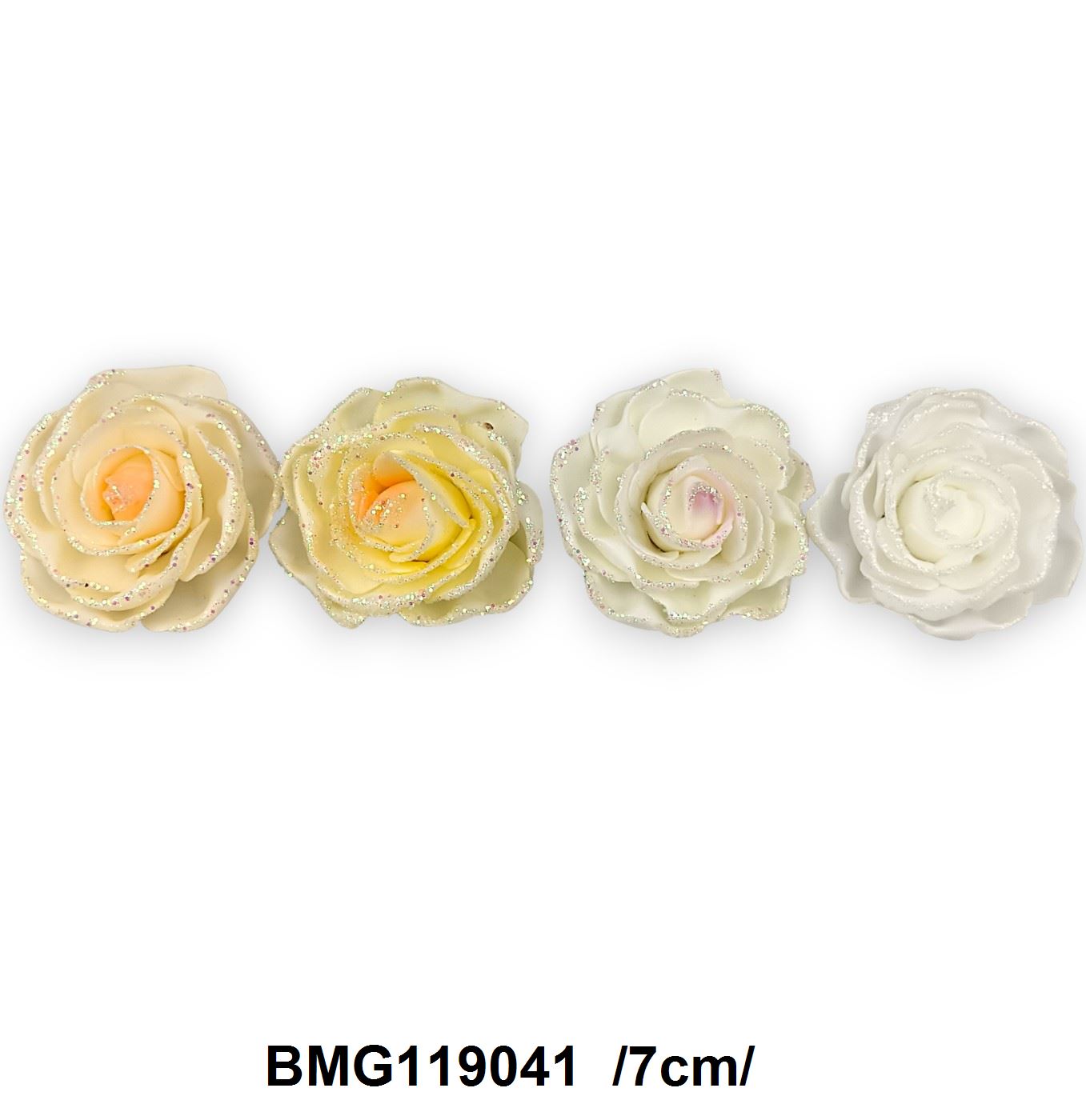 BMG119041