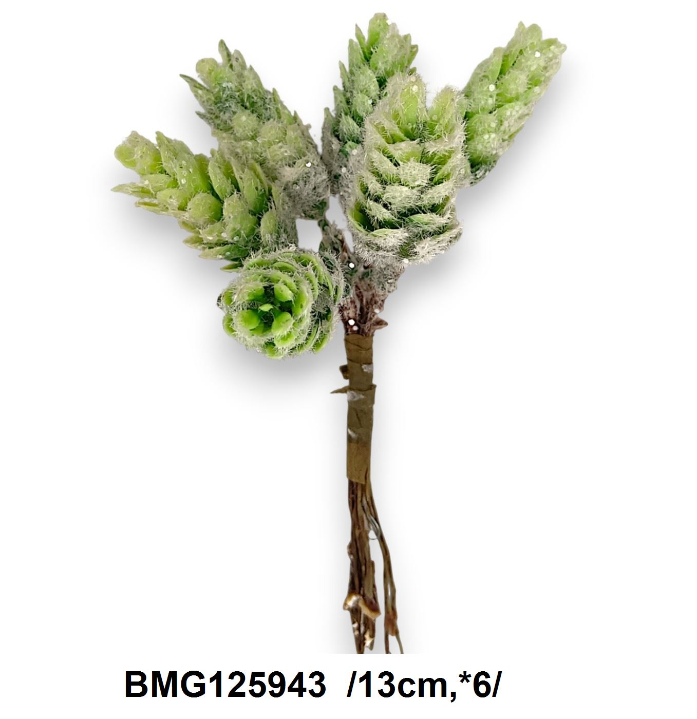 BMG125943