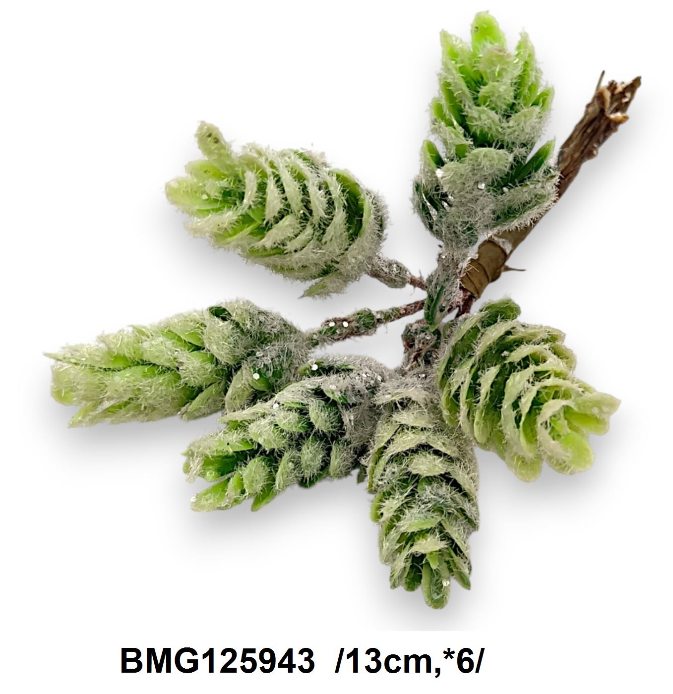 BMG125943