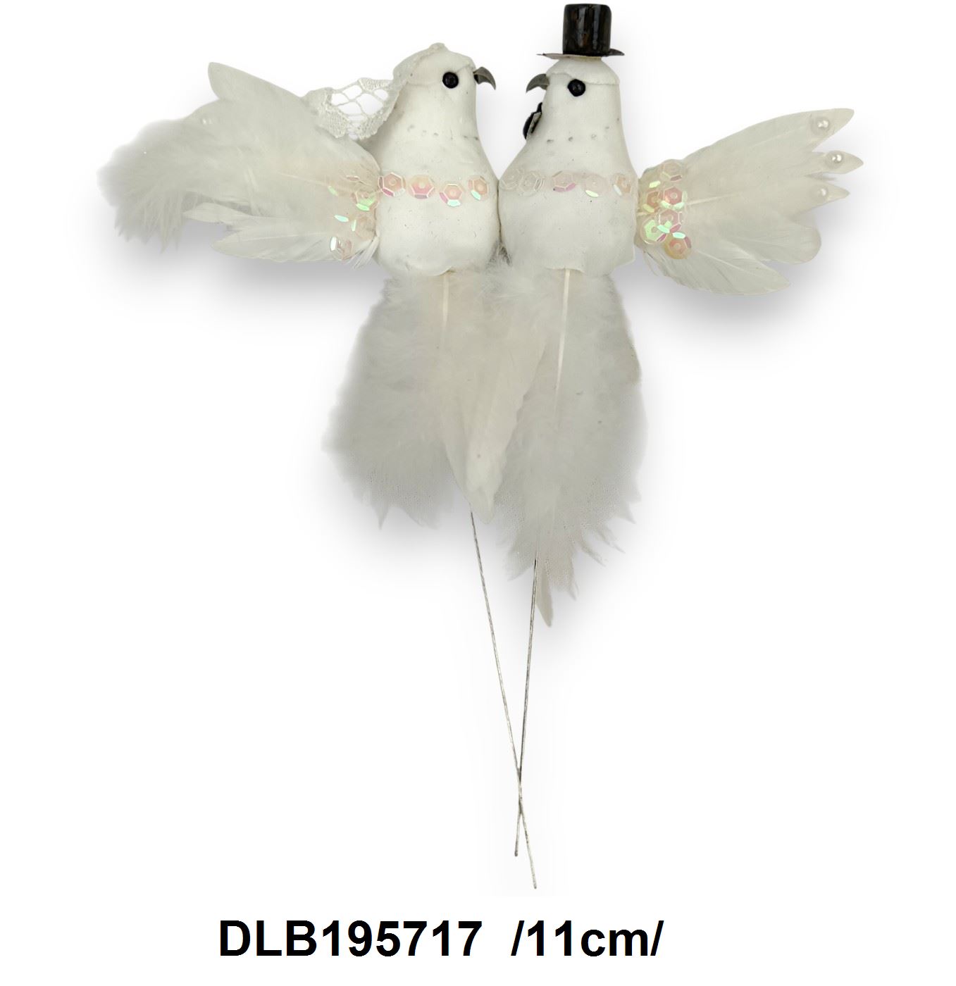 DLB195717