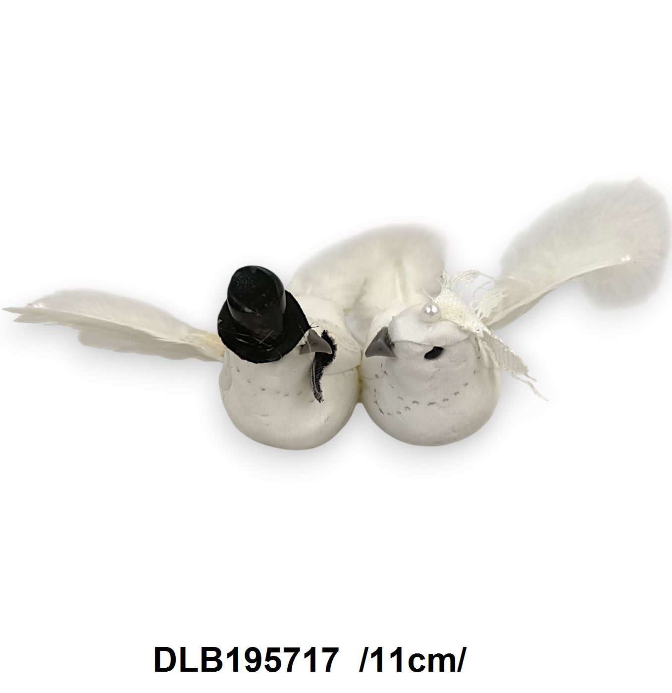 DLB195717