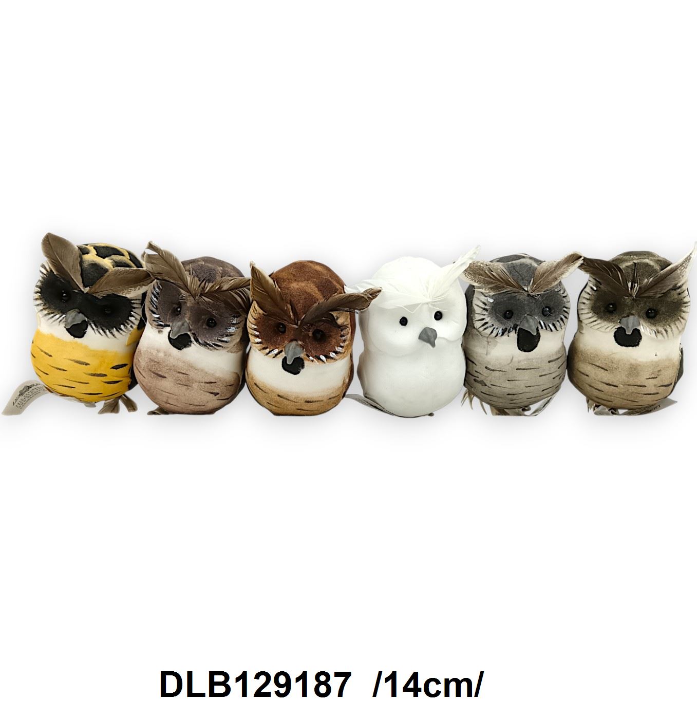 DLB129187