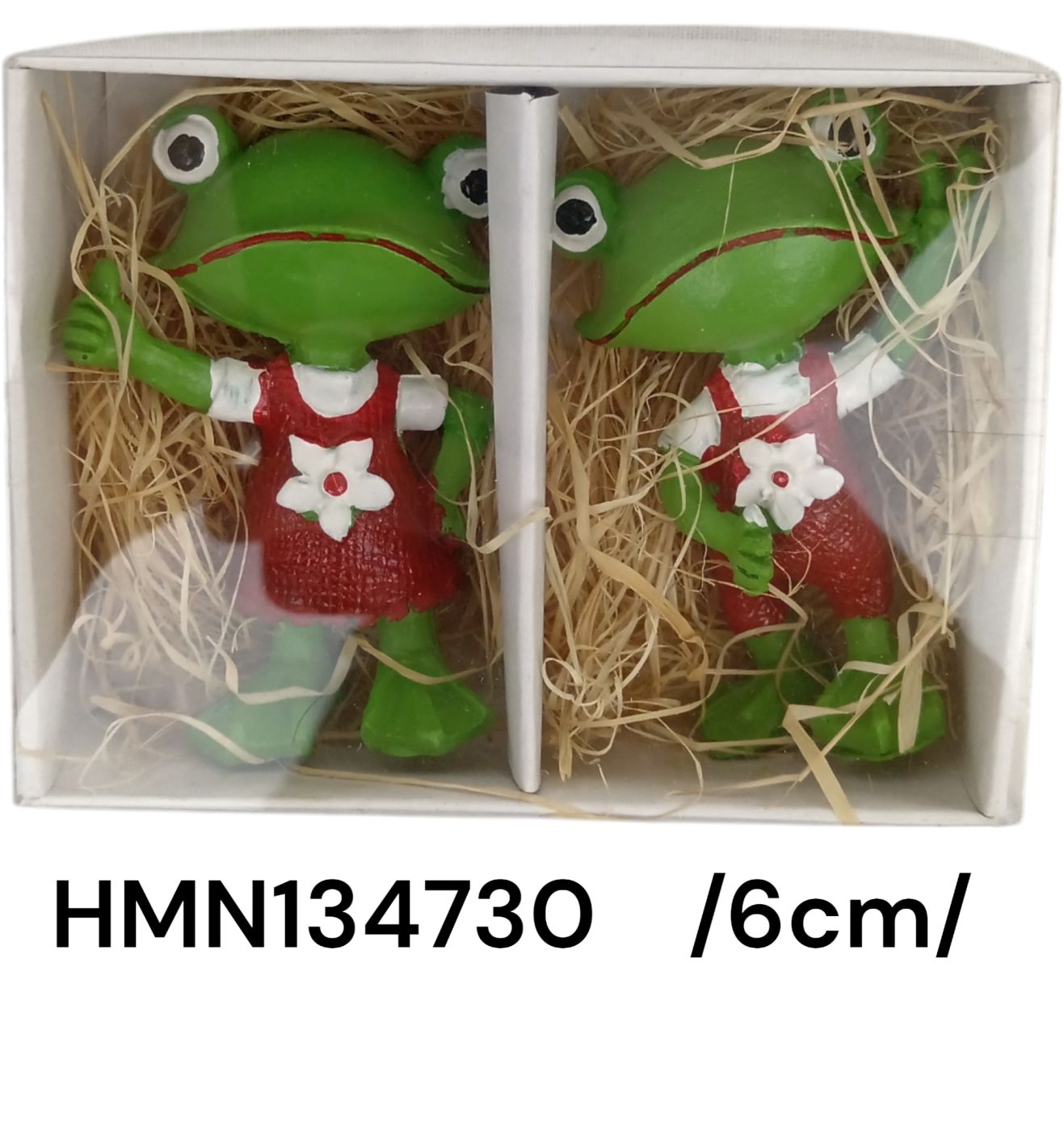 HMN134730