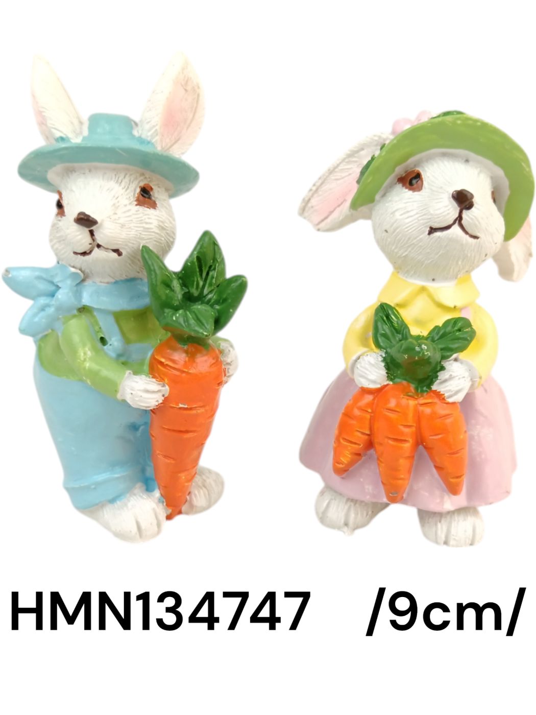 HMN134747