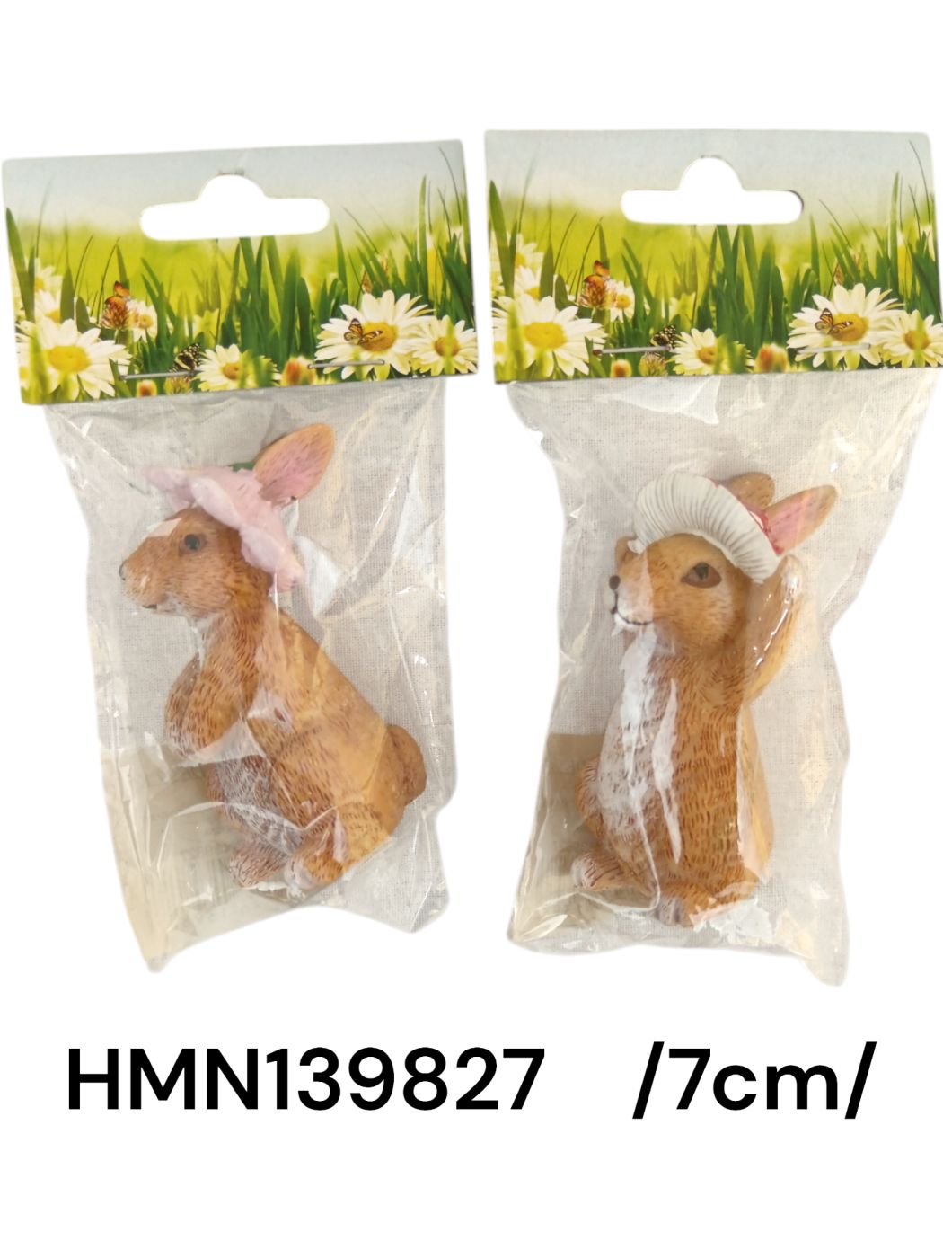 HMN139827