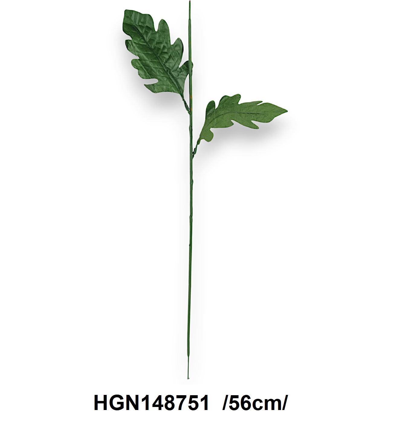 HGN148751