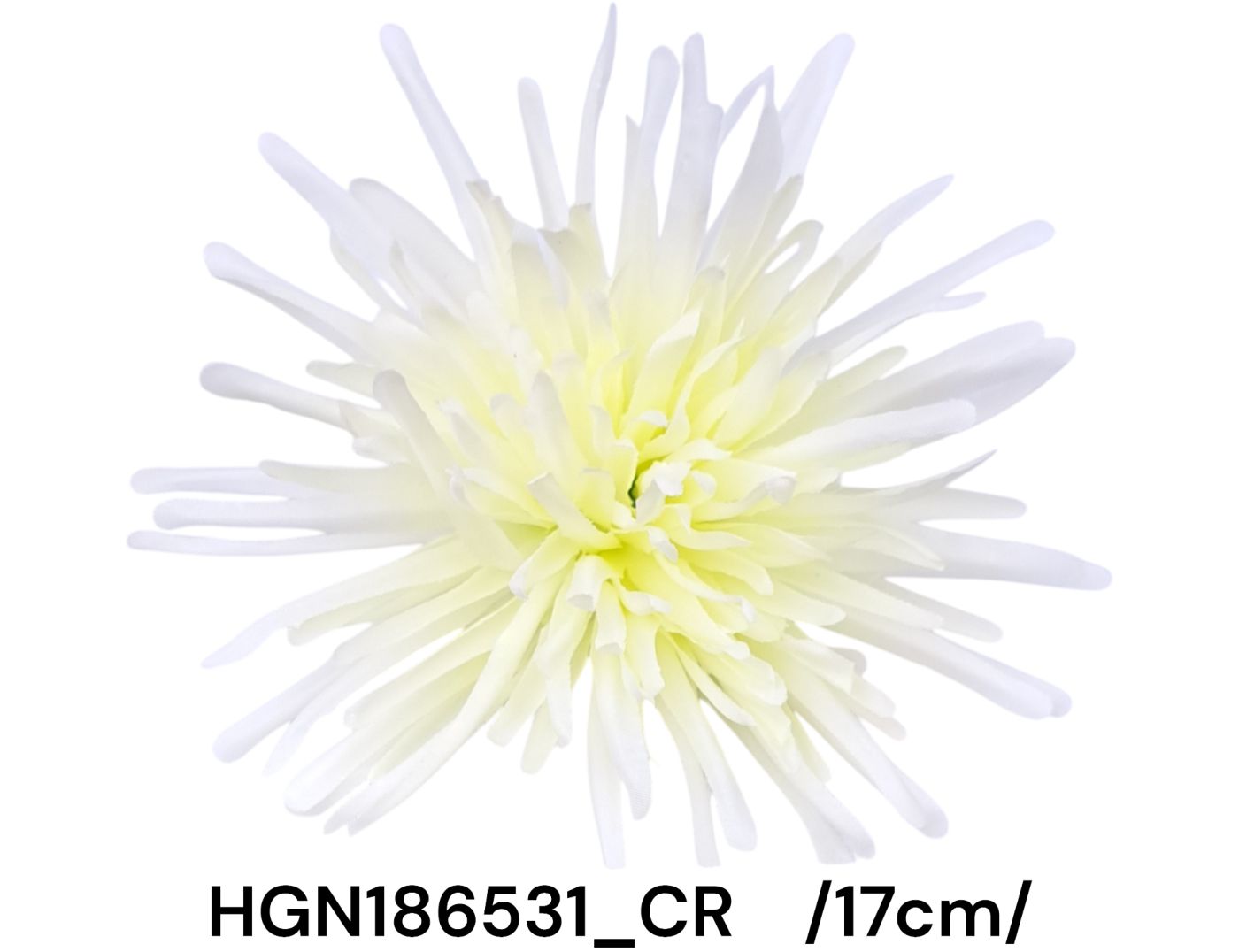 HGN186531_CR