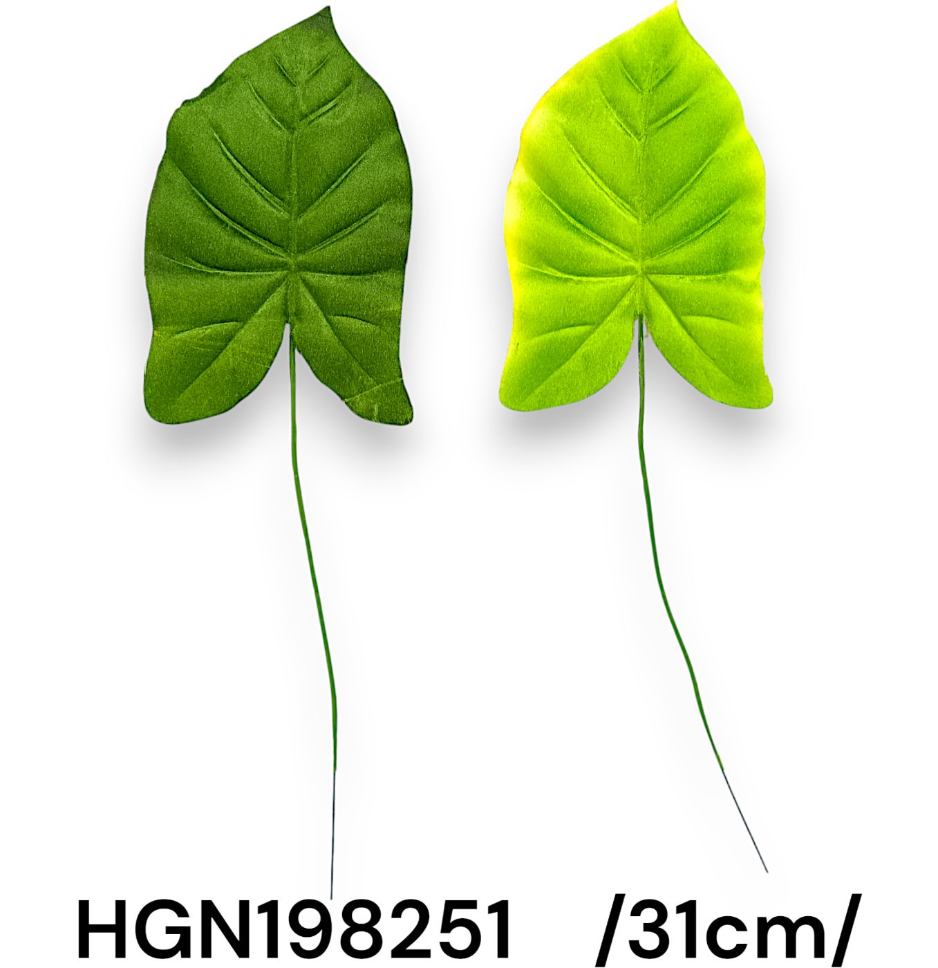 HGN198251
