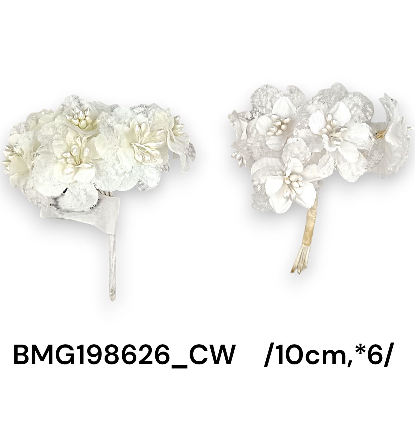 BMG198626_CW