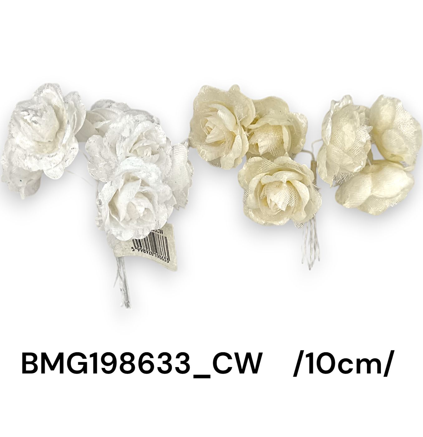 BMG198633_CW