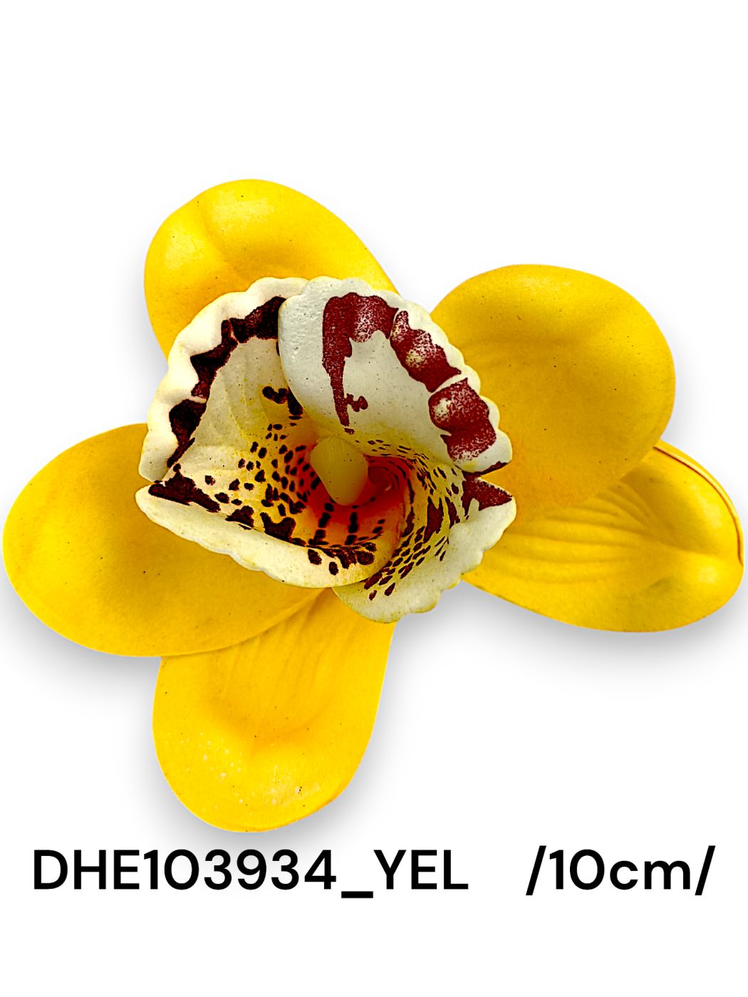 DHE103934_YEL