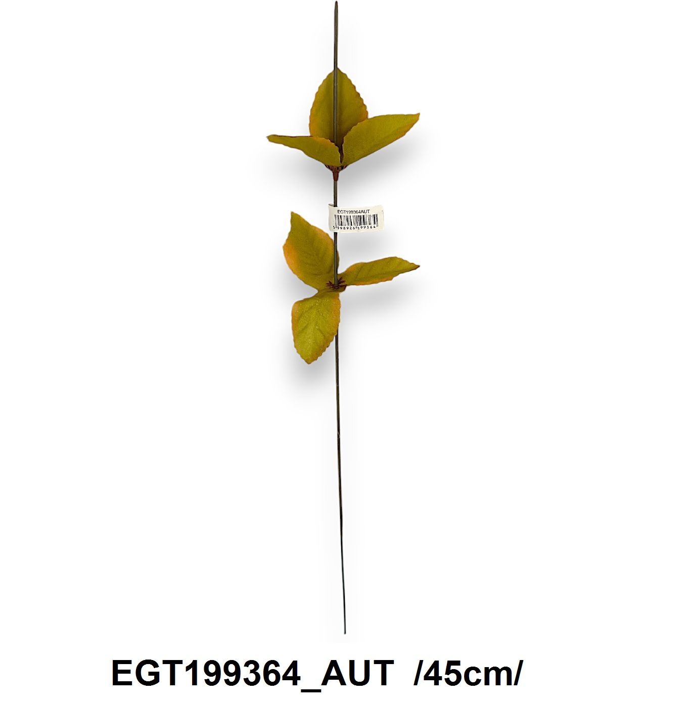 EGT199364_AUT